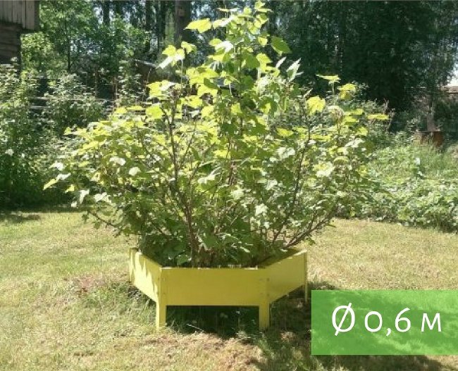 Клумба "Сота" 300 в Воронеже Клумба "Сота" 300 в Воронеже