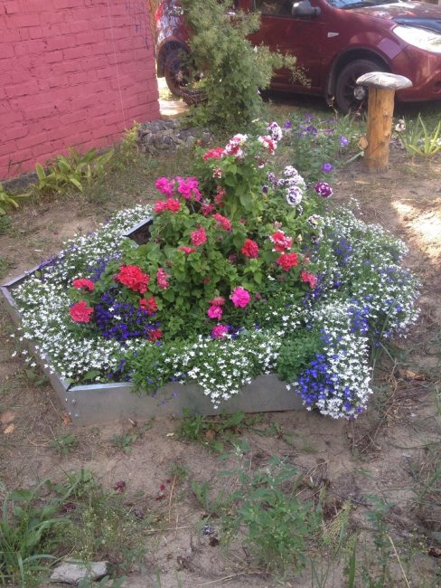 Клумба "Сота" 400 оцинкованная в Воронеже